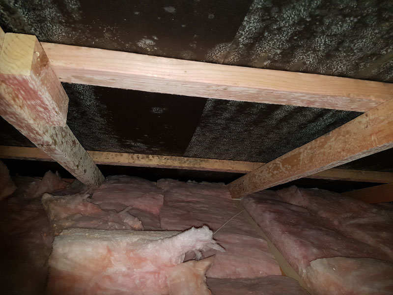 Vent Mould in Roof